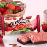 甘酸っぱい苺と優しいチョコのマリアージュ♪　苺の日に「いちごのサンダー」が発売！
